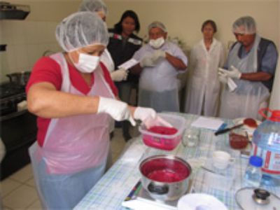 Dra. Carmen Saénz, académica del Departamento de Agroindustria y Enología, junto a agricultores del valle de Codpa en taller elaboración de dulce de tuna.