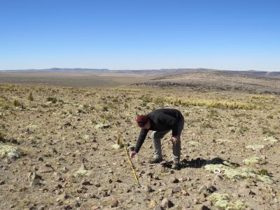 El profesor Castellaro realizando mediciones de composición botánica en algunos de los tipos de pastizales existentes en la reserva Pampa Galeras Bárbara D´Achille.