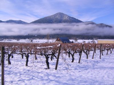 La iniciativa se centra en las consecuencias y posible soluciones al impacto del cambio climático en viñas, uvas y vinos. 