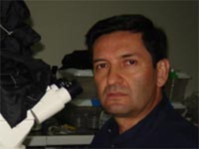 Profesor José Luis Henríquez