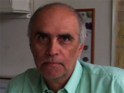 Profesor Gabino Reginato M.
