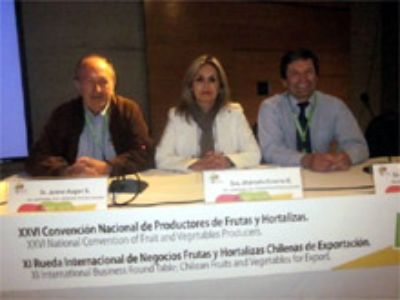 Los profesores Auger, Esterio y Henríquez durante su presentación en Fruittrade 2013.
