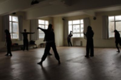 El programa formativo que dictarán los docentes del Departamento de Danza forma parte del proyecto "Revuelo" que el académico del Departamento de Danza, Luis Corvalán, dirige junto a Natalia Díaz.