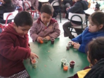 Para mejorar la calidad de la educación chilena, según Viviana Soto se requiere que las casas de estudio inviertan en la formación docente. 