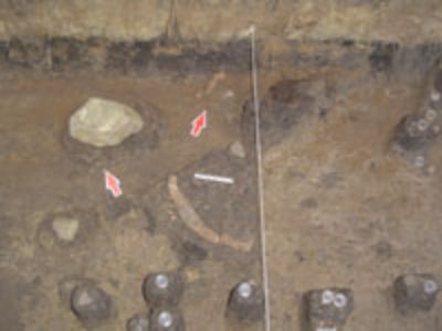 Instrumentos-puntas típicos de los primeros poblamientos americanos fueron encontradas en Santa Julia, junto a la restos óseos del Caballo Nativo, especie extinta hace más de 10 mil años.