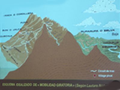 En este mapa se muestran las rutas que seguían los llameros, segun el esquema idealizado de "Movilidad giratoria" de Lautaro Núñez.