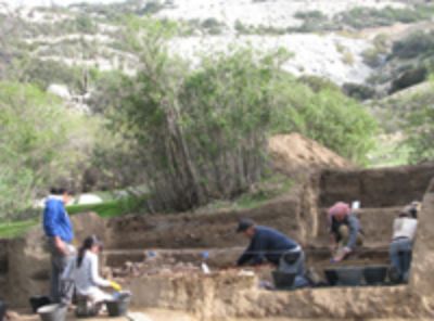 Excavaciones año 2010