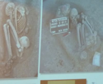 Fotografía de algunos restos óseos encontrados en Tutuquén.