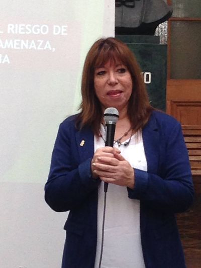 La académica Carmen Paz Castro fue la encargada de abrir el ciclo de charlas.
