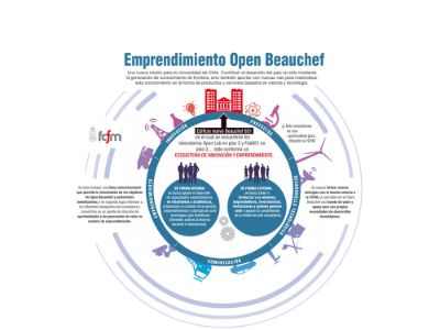 Gráfica Emprendimiento Open Beauchef