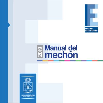 Manual del Mechón 2019