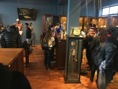 Los visitantes en el Museo de Anatomía