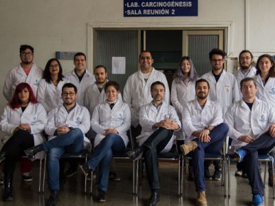 El equipo del laboratorio de Carcinogénesis Química y Farmacogenética 