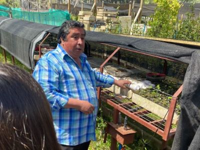 Iván Grez, académico de la Facultad y director de operaciones del vivero.