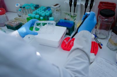 En el Hospital Salvador se está realizando la fase uno del ensayo clínico para probar si la vacuna TRIMELVax, creada por investigadores de la Facultad de Medicina para tratar un tipo de cáncer a la piel, es segura en humanos. 