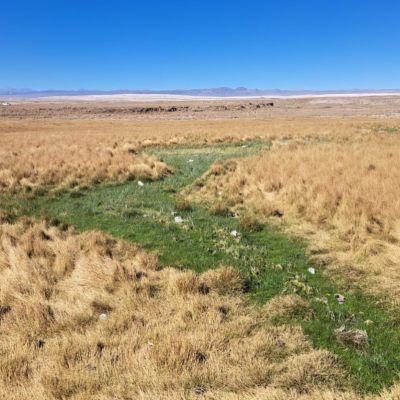 Investigación ahonda en cómo la sequía cambió la vida de comunidades en la Puna de Atacama.