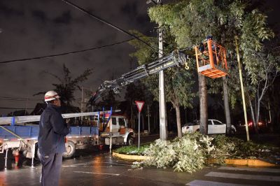 En esa línea, el académico Jorge Inzulza señala que es urgente comenzar a invertir en esta medida, la que ya ha sido tomada en ciudades como Punta Arenas, que tiene los vientos más fuertes en el país.