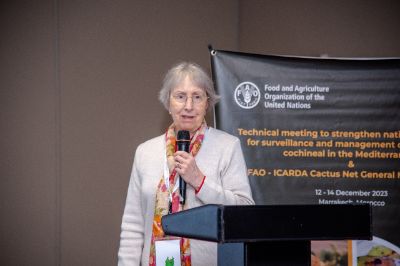 La profesora Carmen Sáenz, del Departamento de Departamento de Agroindustria y Enología, en su presentación, en la reunión técnica de la FAO en Marruecos.