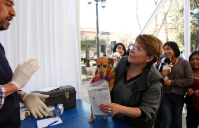 La pandemia ha aumentado la cantidad de mascotas en los hogares chilenos, convirtiendo la exposición al virus en un tema de salud pública.