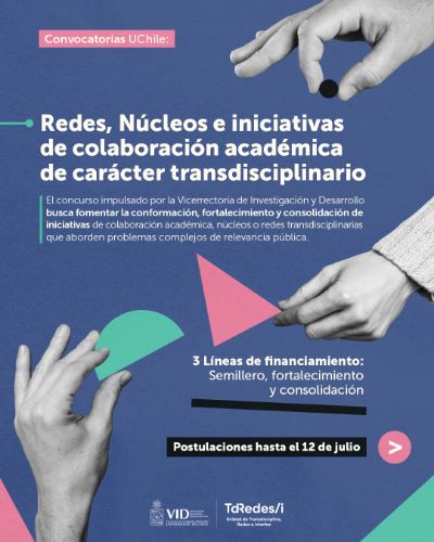 Redes, Núcleos e iniciativas de colaboración académica de carácter transdisciplinario