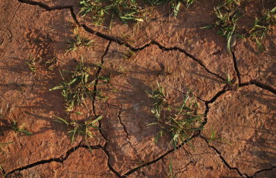 La actividad que contará con tres ejes temáticos, es coorganizada por la Dirección de Investigación de la Vicerrectoría de Investigación y Desarrollo (VID), Sustentabilidad U. de Chile y la Red Transdisciplinar de Energía, Agua y Sustentabilidad (ENeAS). 