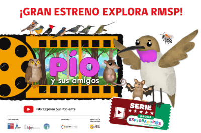 Enfocada en las diversas experiencias y preguntas de Pío, un colibrí, y sus amigos, la serie animada busca estimular la curiosidad de niños y niñas de 1º a 4 básico, a través de cuatro episodios llenos de aventuras que los motivarán a explorar su entorno.