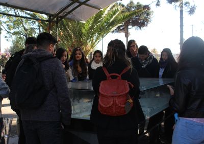 Estudiantes de la U. de Chile participaron de simbólica y emotiva visita en Villa Grimaldi