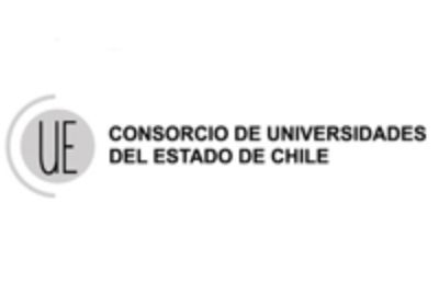 Declaración Pública del Consorcio de Universidades del Estado de Chile.