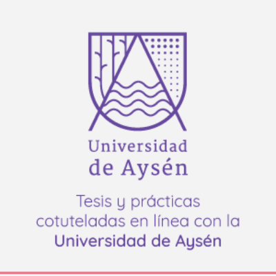 Banner tesis y prácticas cotuteladas en línea UAysén-UChile