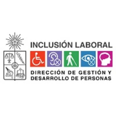 inclusion.dgdp@uchile.cl