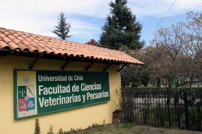  Faculté de Sciences Vétérinaires