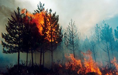 Entre los factores que gatillan un incendio forestal, explican ambos académicos, se encuentra la intencionalidad humana mediante fogatas mal apagadas, colillas de cigarro y problemas psiquiátricos.