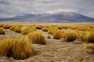 "La física puede ayudar a analizar el medio ambiente", manifestó Marcel Clerc, académico a cargo del trabajo que será publicado en a revista Scientific American Report.