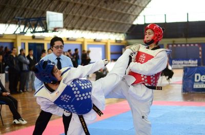 El 15 y 16 de octubre se desarrolló el torneo de Taekwondo.                                Crédito fotografía: Lorenzo Mella / Consuelo Mujica