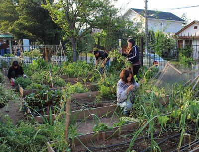 CFG "Escuela-Huerto: aprendiendo de tierra, comida y comunidad" promoverá la educación sustentable, la alimentación sana y el cuidado del medioambiente.