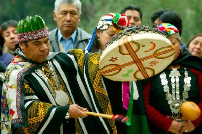 El Convenio 169  establece ciertos principios sobre el uso y transferencia de las tierras indígenas y recursos naturales.