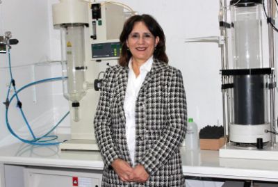 La investigación fue liderada por la académica de la Facultad de Ciencias Químicas y Farmacéuticas de la Universidad de Chile, Paz Robert.