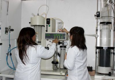 El trabajo ofrece una fórmula de microencapsulado por secado mediante atomización para la producción de aceite de pescado en polvo.