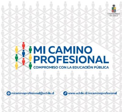 Mi Camino Profesional es una iniciativa que vincula a egresados de la Universidad de Chile con estudiantes de liceos públicos. 