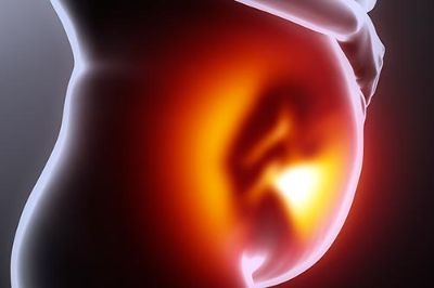 La investigación sobre la reacción de la placenta al Mal de Chagas permite conocer los factores que le permiten resistir a esta enfermedad, y pensar futuras estrategias terapéuticas.