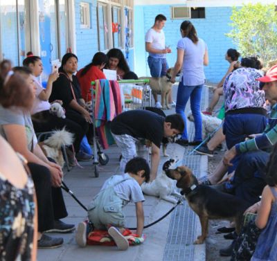 Jornada de tenencia responsable de mascotas del Proyecto Aperrados de estudiantes de tercero medio del Liceo Ciudad de Brasilia
