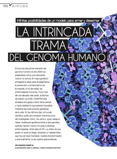 Reportaje "La intrincada trama del genoma humano".