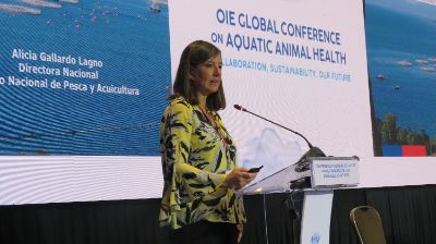 La directora de Sernapesca, Alicia Gallardo, entregó un exhaustivo balance de la situación sanitaria y destacó la contribución de la U. de Chile en la reducción del uso de fármacos.