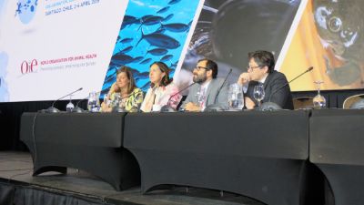Representantes de Sernapesca, SAG y la Subsecretaría de Pesca, junto a la directora de la OIE, Monique Eloit, respondieron las consultas de los participantes. 