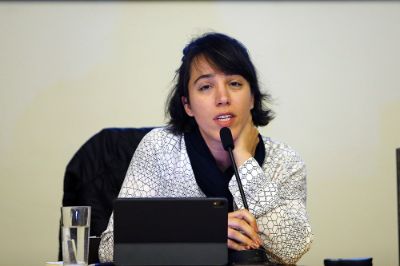 Carolina Moulin, académica de la Universidad Federal Minas Gerais.
