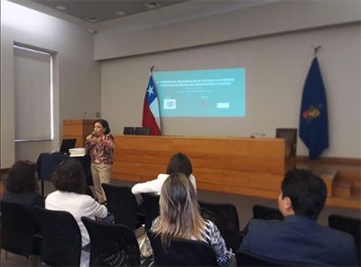 "La experiencia demostró que se necesitaban oficinas especializadas", afirmó la directora de Igualdad de Género de la Universidad de Chile, Carmen Andrade.