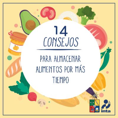 Las académicas Angélica Reyes y Magaly Toro del INTA de la U. de Chile, prepararon una serie de recomendaciones para la conservación de los alimentos.