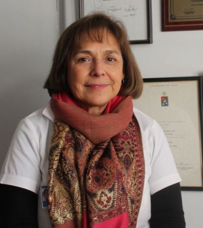 Dra. Ana María Madrid, académica del Hospital Clínico, vicepresidenta del Consejo de Evaluación.