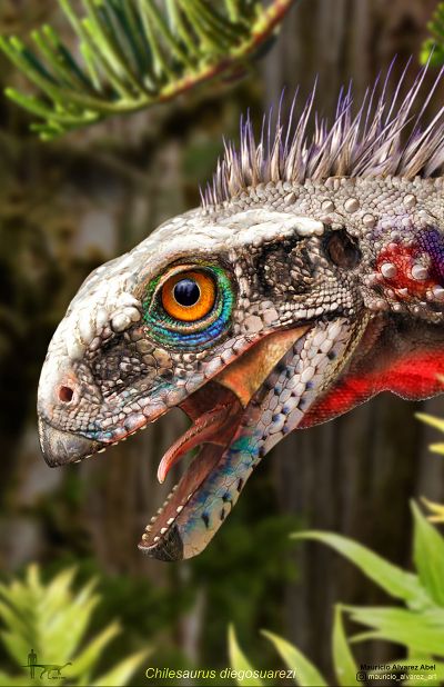 Chilesaurio, el mayor descubrimiento paleontológico realizado en suelo nacional a la fecha. La especie revolucionó al mundo científico por representar un verdadero enigma evolutivo (Mauricio Álvarez).