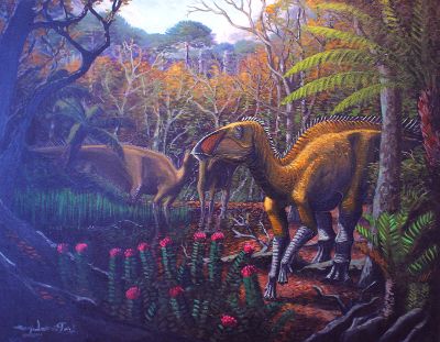 Hadrosaurio, dinosaurio herbívoro conocido por su pico similar al de los patos. Habitó en la Patagonia hace unos 70 millones de años y podía llegar a medir entre 6 a 12 metros de largo (Luis Pérez).